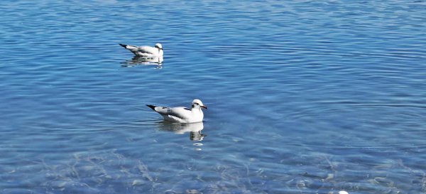 云南丽江有什么好玩的地方