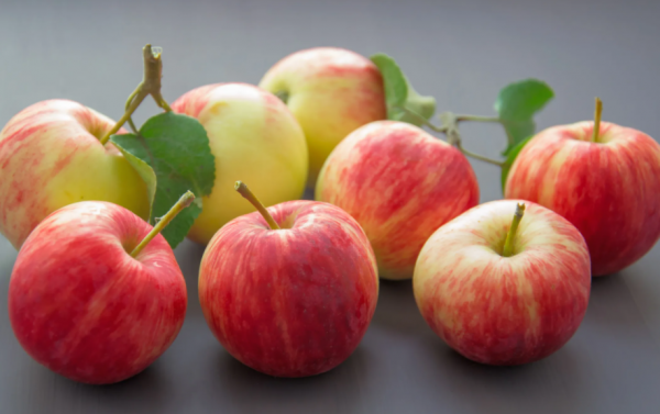 水果店的水果进货渠道怎么找