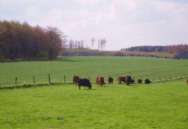 中国耕地面积占世界百分之几