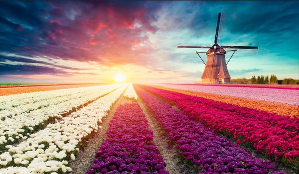 中国耕地面积占世界百分之几