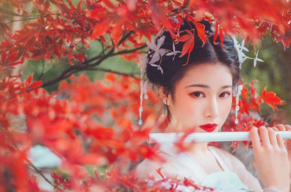 雪中悍刀行上柱国是什么官职