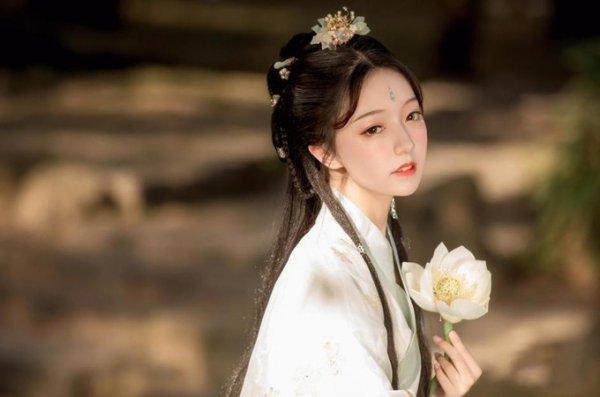 雪中悍刀行上柱国是什么官职