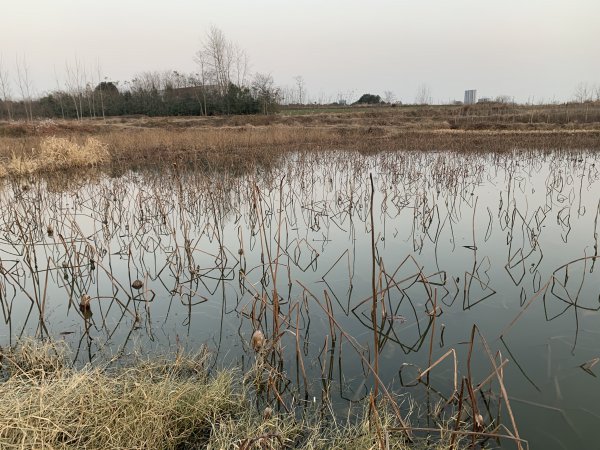 钓鱼打窝方法与技巧