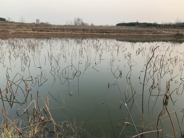 钓鱼打窝方法与技巧