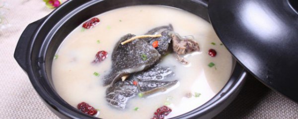 女孩子吃甲鱼的好处和坏处