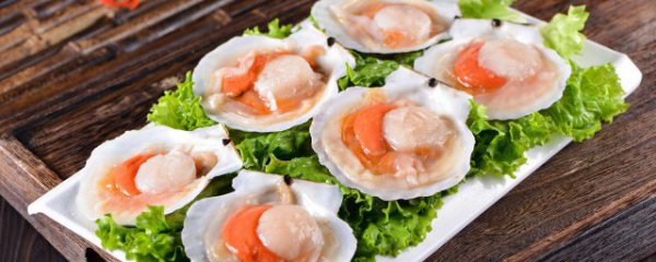 男人吃扇贝有什么好处