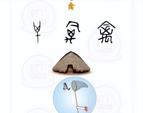 禽兽是指哪些动物