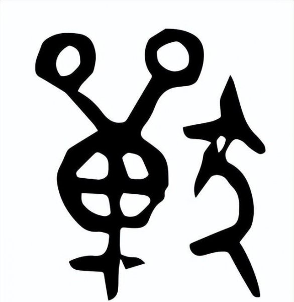 禽兽是指哪些动物