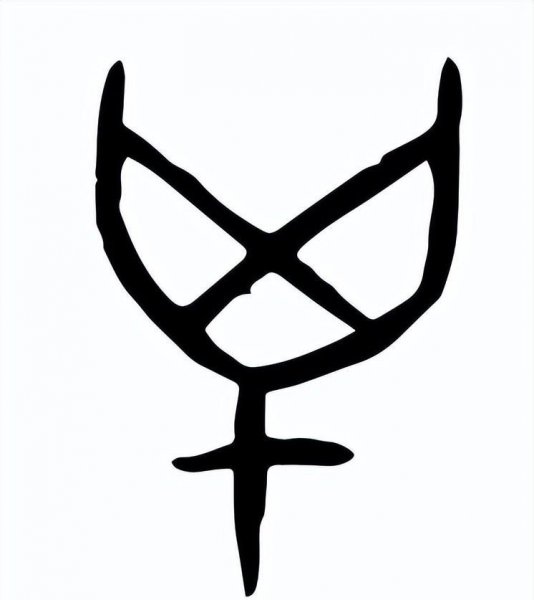 禽兽是指哪些动物