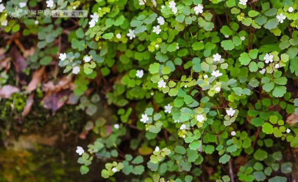 西安夏天适合去哪里玩