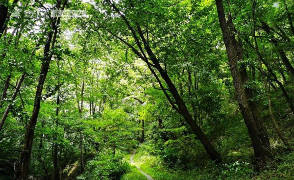 西安夏天适合去哪里玩