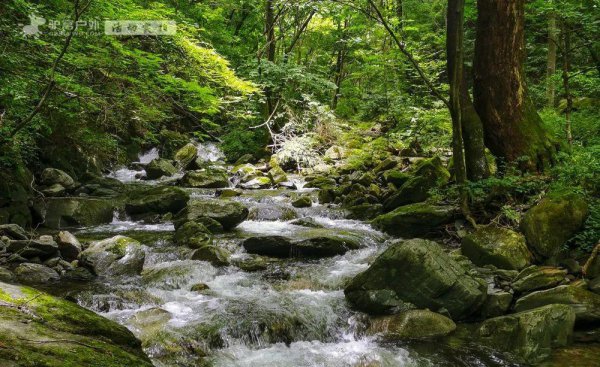 西安夏天适合去哪里玩