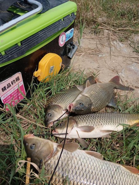 新手鱼竿推荐品牌