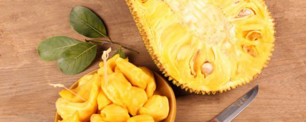 木菠萝种植方法与注意事项