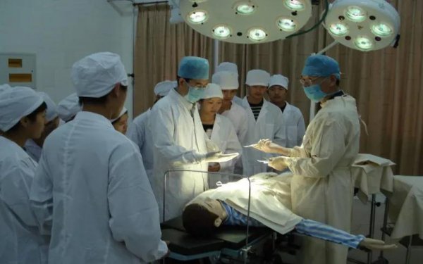 历史化学生物可以报考的专业