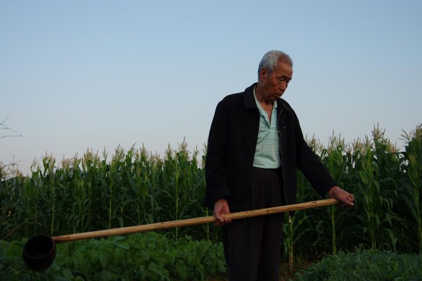 中年的年龄段是多少岁