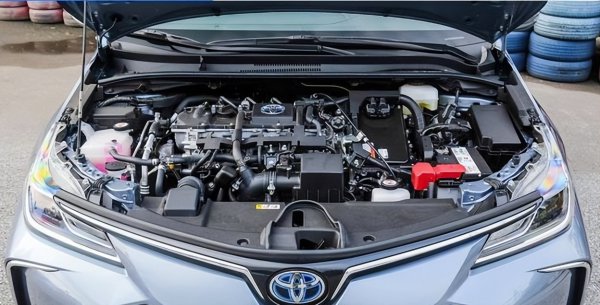 卡罗拉和轩逸哪个性价比更高