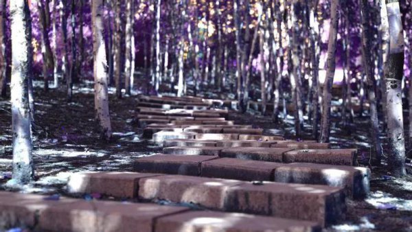 长春大学旅游学院是几本大学