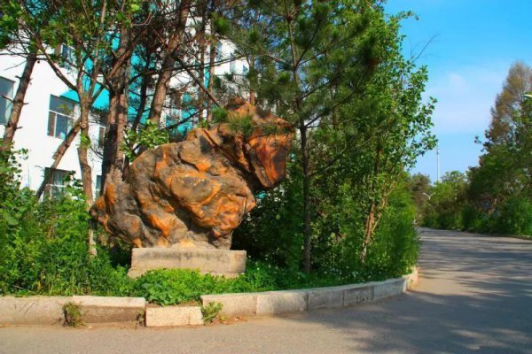 长春大学旅游学院是几本大学