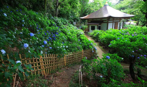 似曾相识燕归来的是什么意思