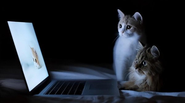 删除的文件不在回收站怎么找回