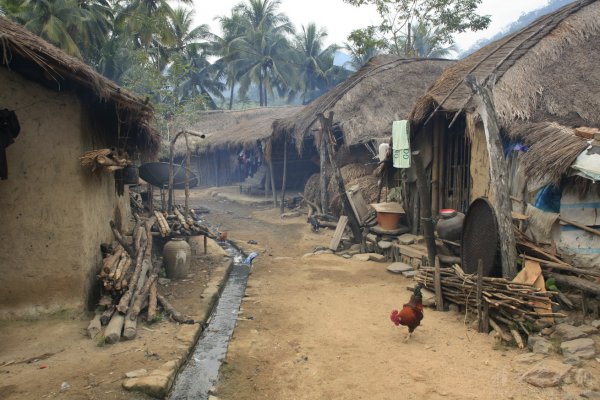 中国黎族主要分布在哪个省