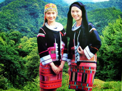 中国黎族主要分布在哪个省