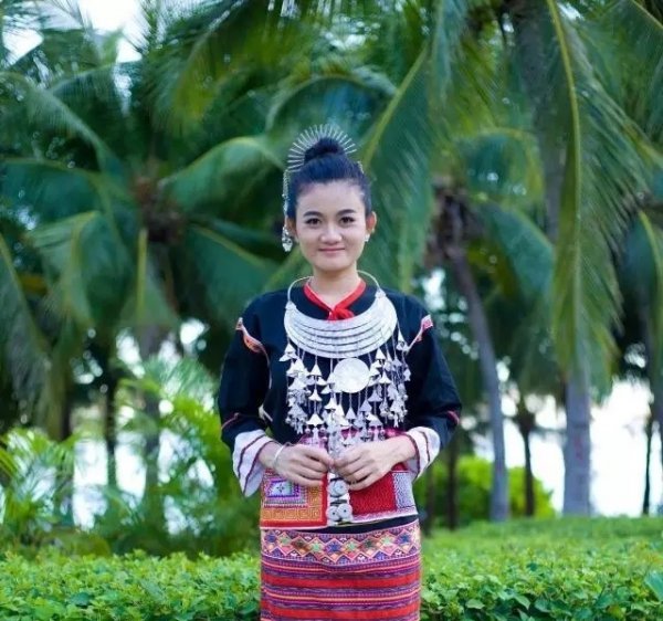 中国黎族主要分布在哪个省