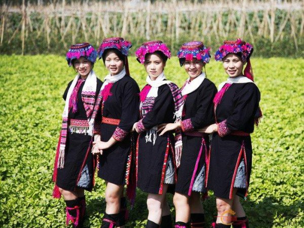 中国黎族主要分布在哪个省