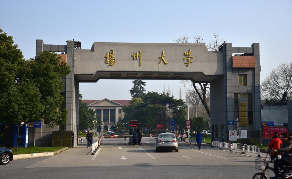 扬州大学属于什么档次