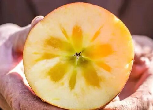 阿克苏苹果什么时候上市