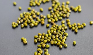 怎么做绿豆沙馅 如何做绿豆沙馅