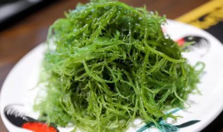 海草能生吃吗 海草能否直接生食呢