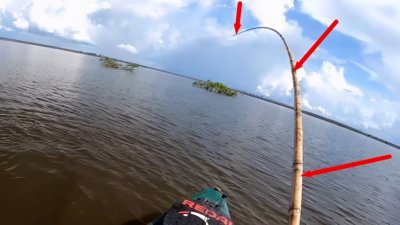 钓鱼鱼竿28调什么意思 28调的鱼竿是什么意思