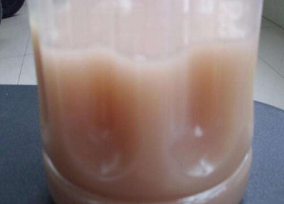 发财树和吊兰施肥的方法 吊兰和发财树能一起种吗