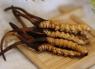 冬虫夏草可以冷冻保存吗 虫草放在冷冻还是冷藏