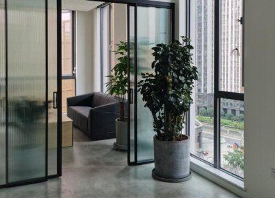 室内如何养殖发财树才能枝繁叶茂 室内发财树的养殖方法和注意事项