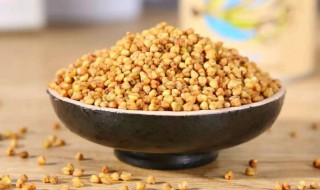 黄苦荞搭配什么茶好 苦荞茶与什么搭配喝起来效果更好