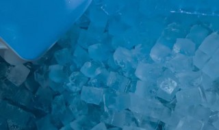 泡大珠的正确养法 泡大珠如何养