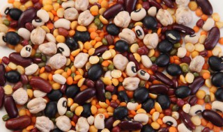 减肥可以吃豆子吗 减肥期间能吃豆子吗