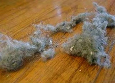 家里毛绒灰尘太多妙招 屋子里总有很多毛絮什么情况