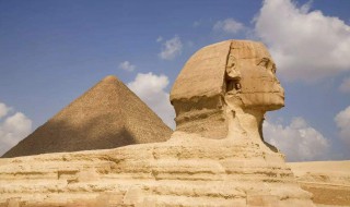 埃及有哪些土特产食物 埃及的土特产食物推荐