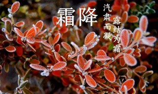 霜降语录 霜降祝福语录有哪些