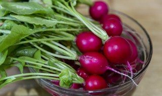 红皮萝卜能生吃吗 红皮萝卜可以生吃吗