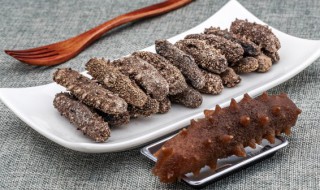 新鲜冷冻海参怎么处理 新鲜冷冻海参处理的方法