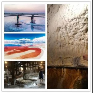 中国四大盐场名称及形成条件 中国四大盐场的位置和成因