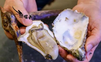 中国最好的生蚝排名 全国哪的生蚝最好吃又出名