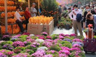 什么花放门口旺家 家门口种什么花最旺宅