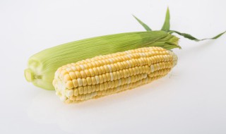 熟玉米怎么保存不坏不坏 熟玉米如何保存不坏