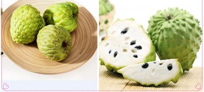 释迦的功效作用 怎么挑选释迦